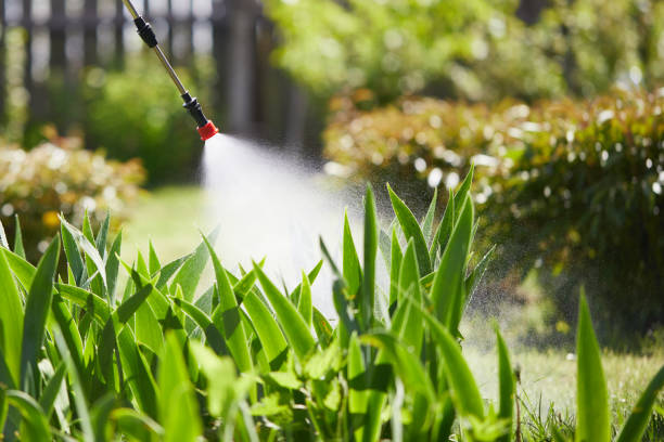 24/7 Emergency Termite Control experts in Loudon, TN