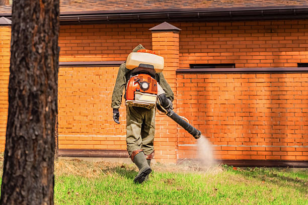 Top rated local Termite Control specialists in Loudon, TN